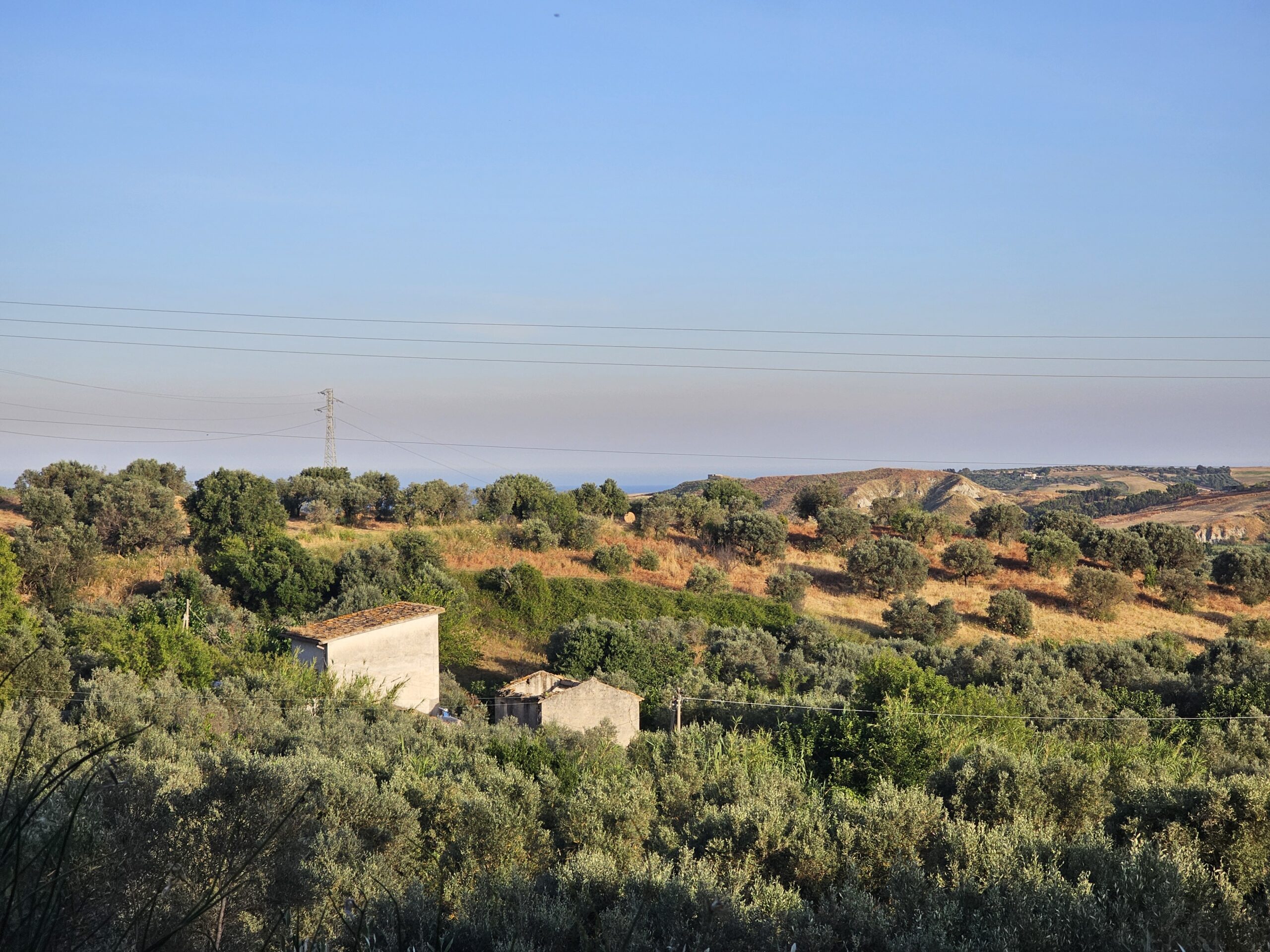 Galleria Paesaggio della campagna calabrese dell'azienda agricola Massaru Peppi.